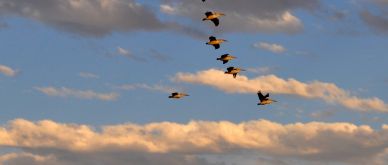 Infocus - Leading vs. lagging indicators